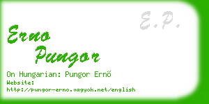 erno pungor business card